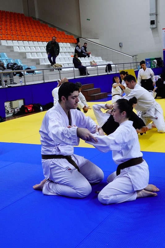 Bahçelievler’de aikido semineri düzenlendi
