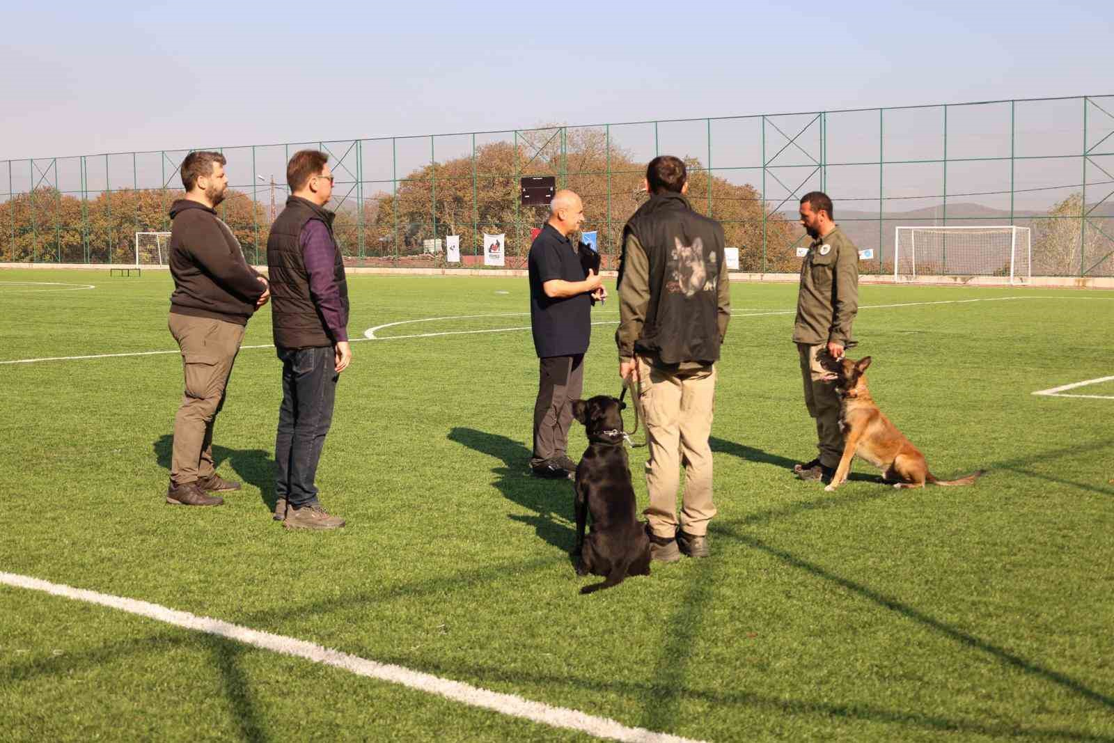 Uluslararası ’Arama Kurtarma Köpekleri Şampiyonası’ Çekmeköy’de yapıldı
