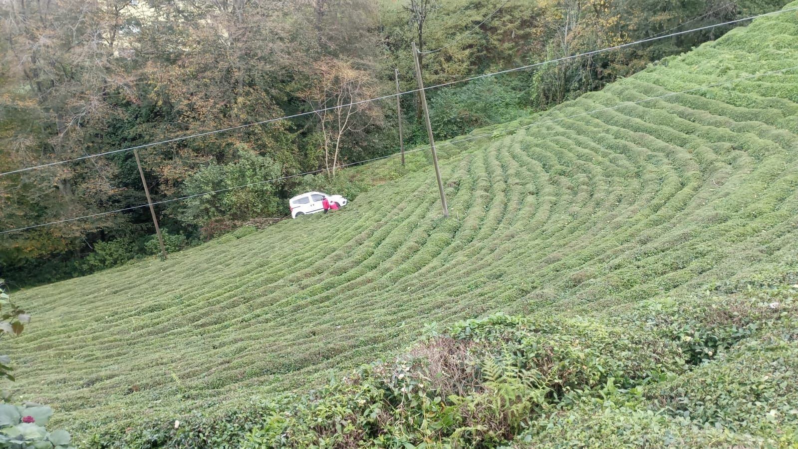 Rize’de araç çay bahçesine yuvarlandı
