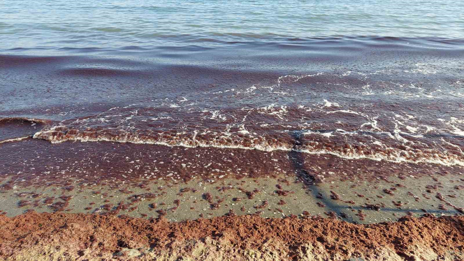 Tekirdağ’da kıyı kızıla boyandı
