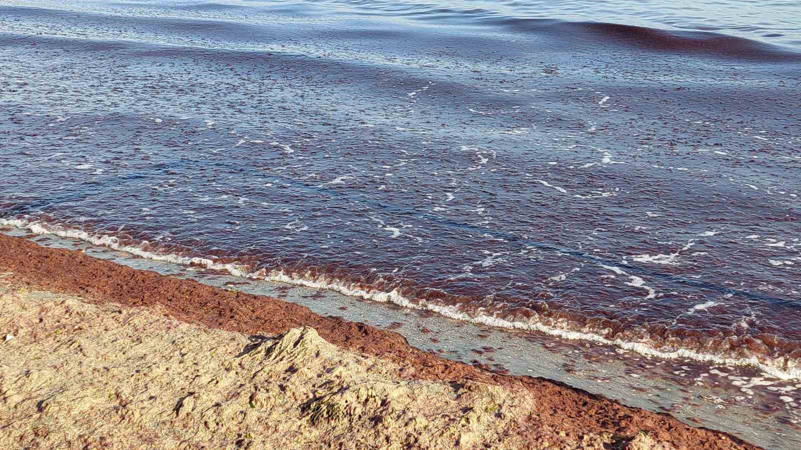 Tekirdağ’da kıyı kızıla boyandı
