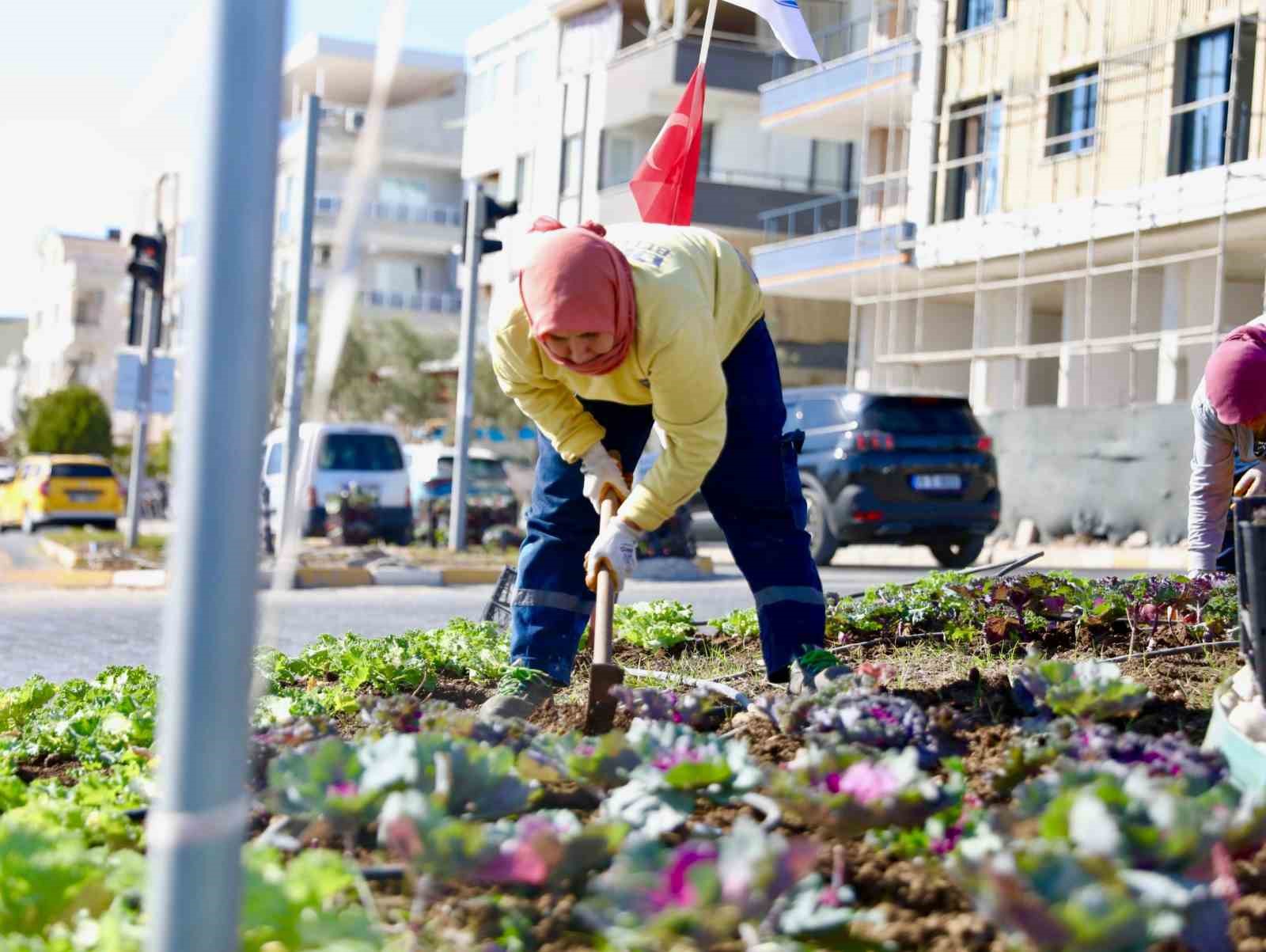 Didim’de kışlık çiçeklerin dikimine başlandı
