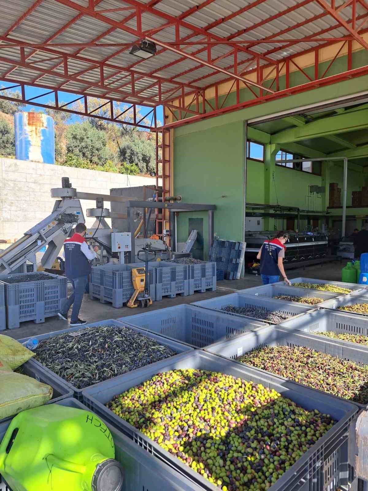 Didim’de zeytin işletmeleri denetlendi
