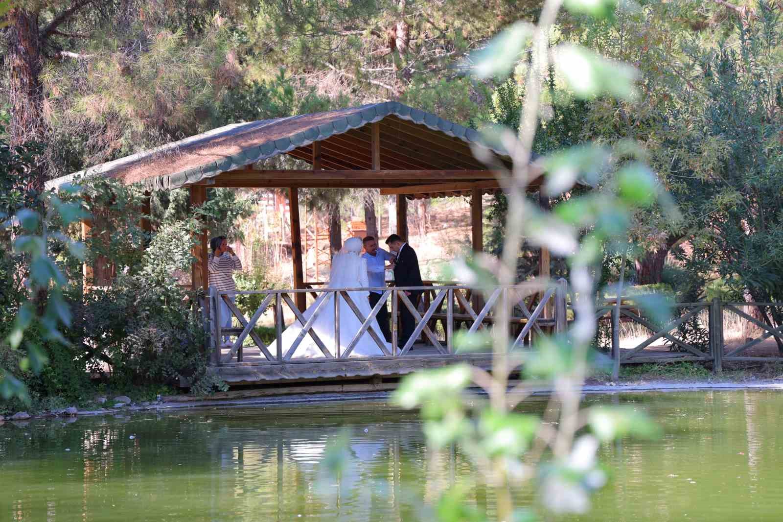 Kahramanmaraş’taki botanik bahçe 400’ün üzerinde ağacı barındırıyor
