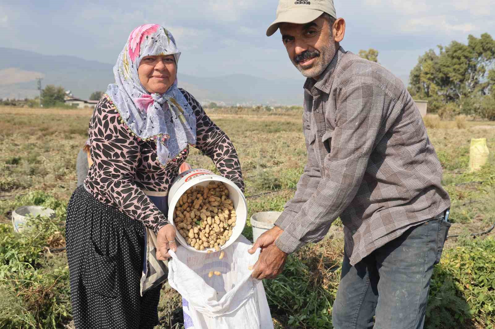 Ali Fakıoğlu: 