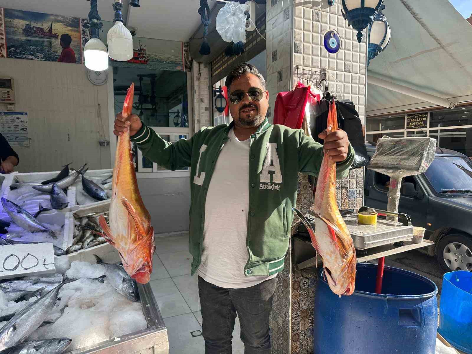 Sinop’ta 6 kilogramlık kırlangıç balığı yakalandı
