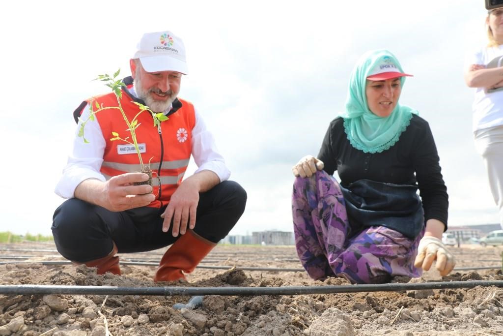 Kocasinan’ın Türkiye’ye örnek olan Tarım Projesi’nde meyvelerin son hasadı
