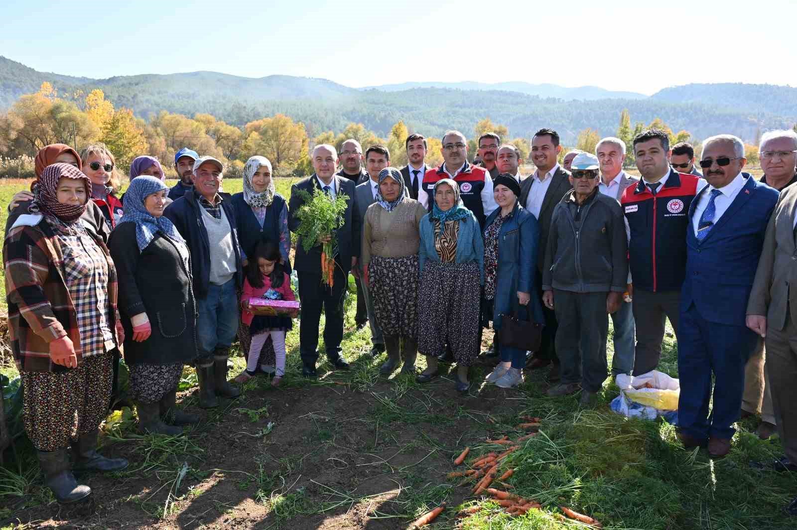 Denizli’de bu yıl 5 bin ton havuç hasat edilecek
