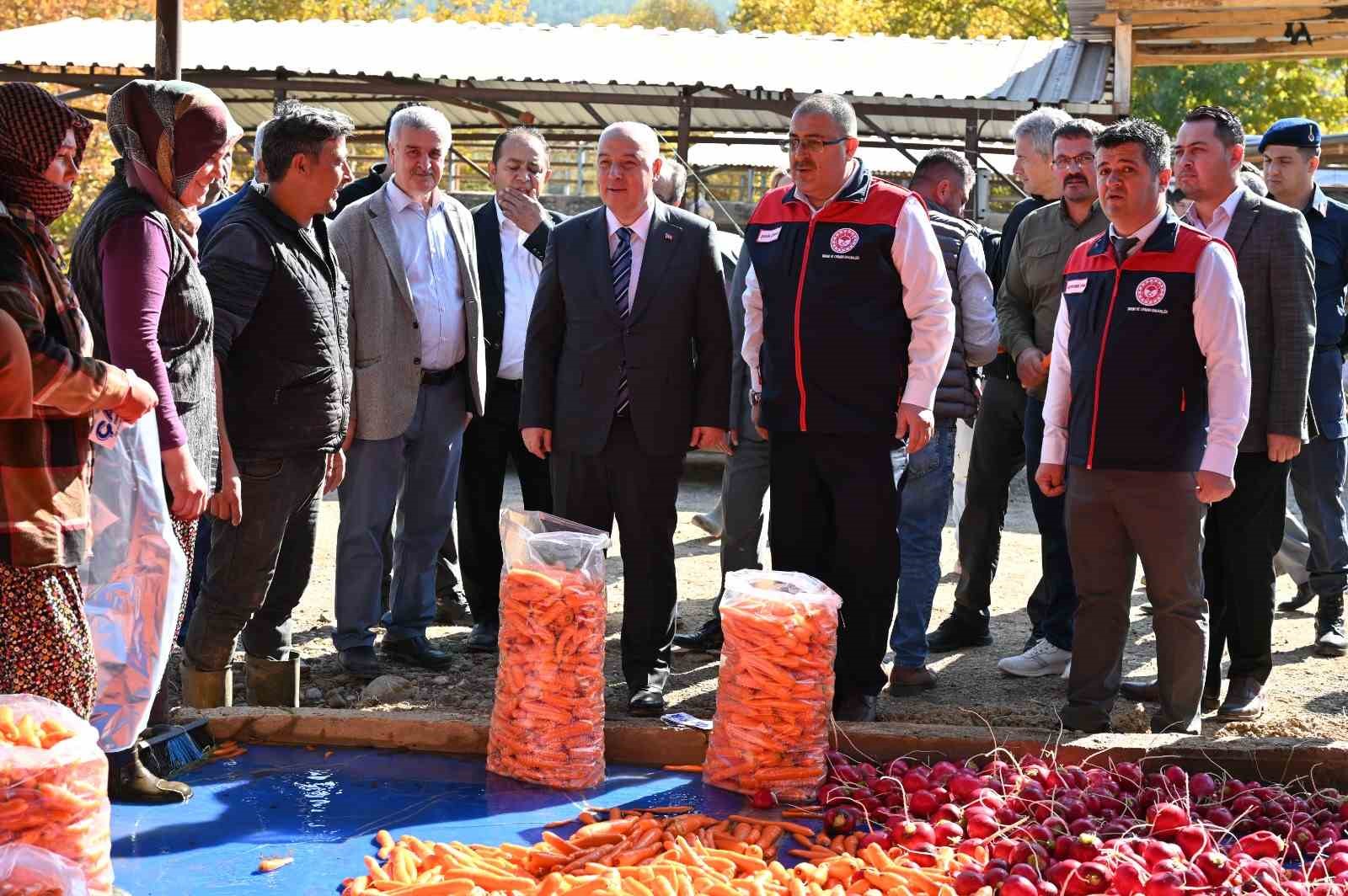 Denizli’de bu yıl 5 bin ton havuç hasat edilecek
