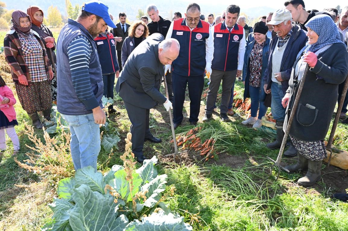 Denizli’de bu yıl 5 bin ton havuç hasat edilecek
