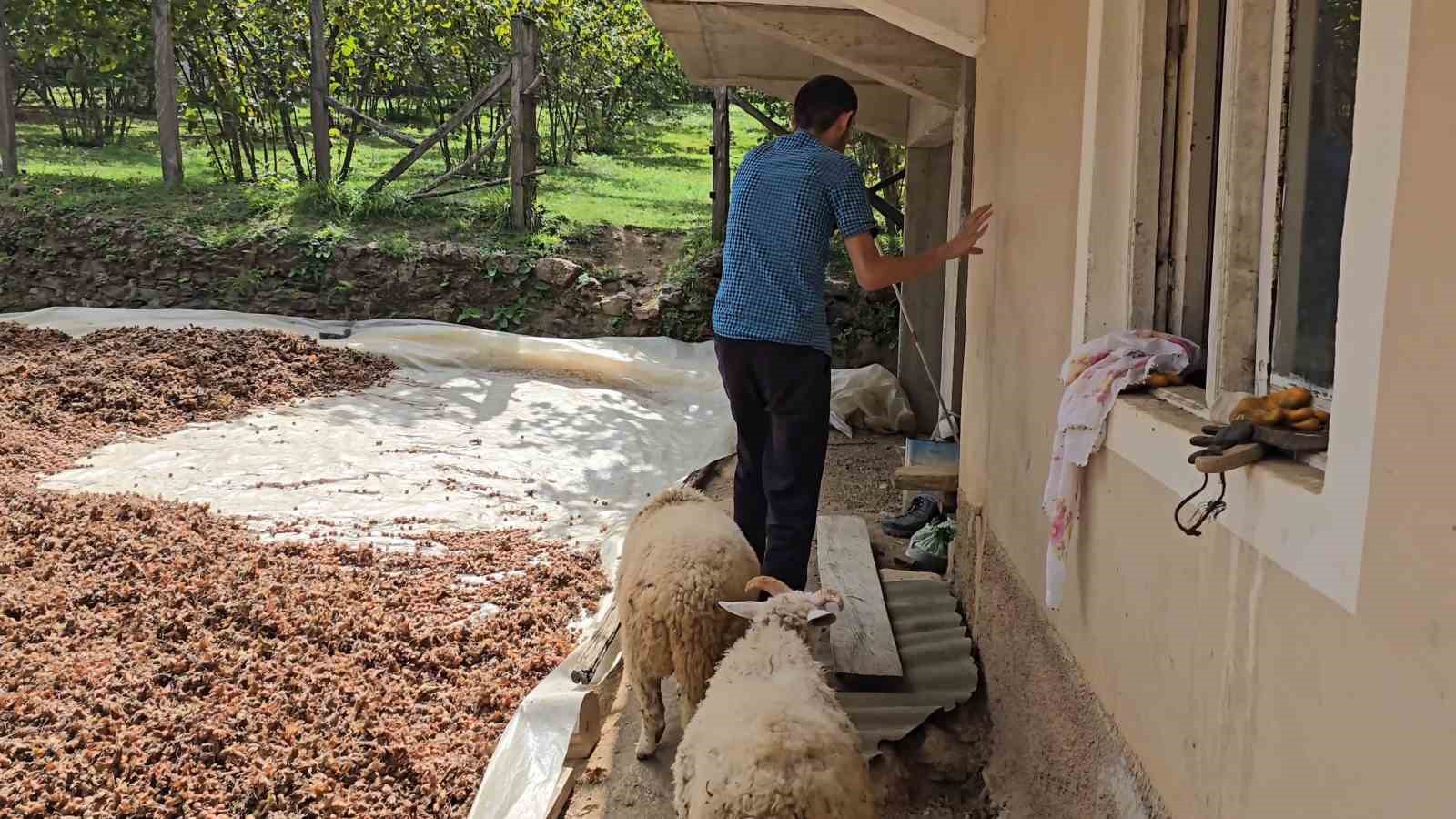 Doğuştan görme engelli genç; engelli insanlara umut oldu
