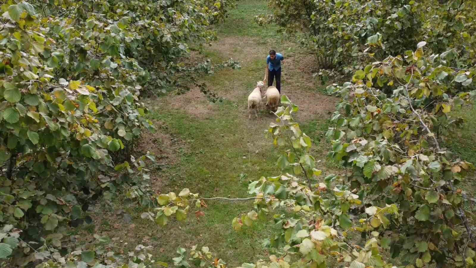 Doğuştan görme engelli genç; engelli insanlara umut oldu
