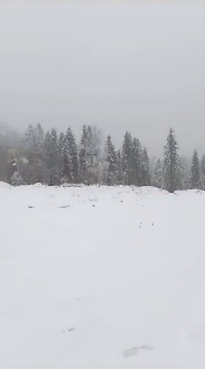 Sinop´un yüksek kesimleri beyaza büründü
