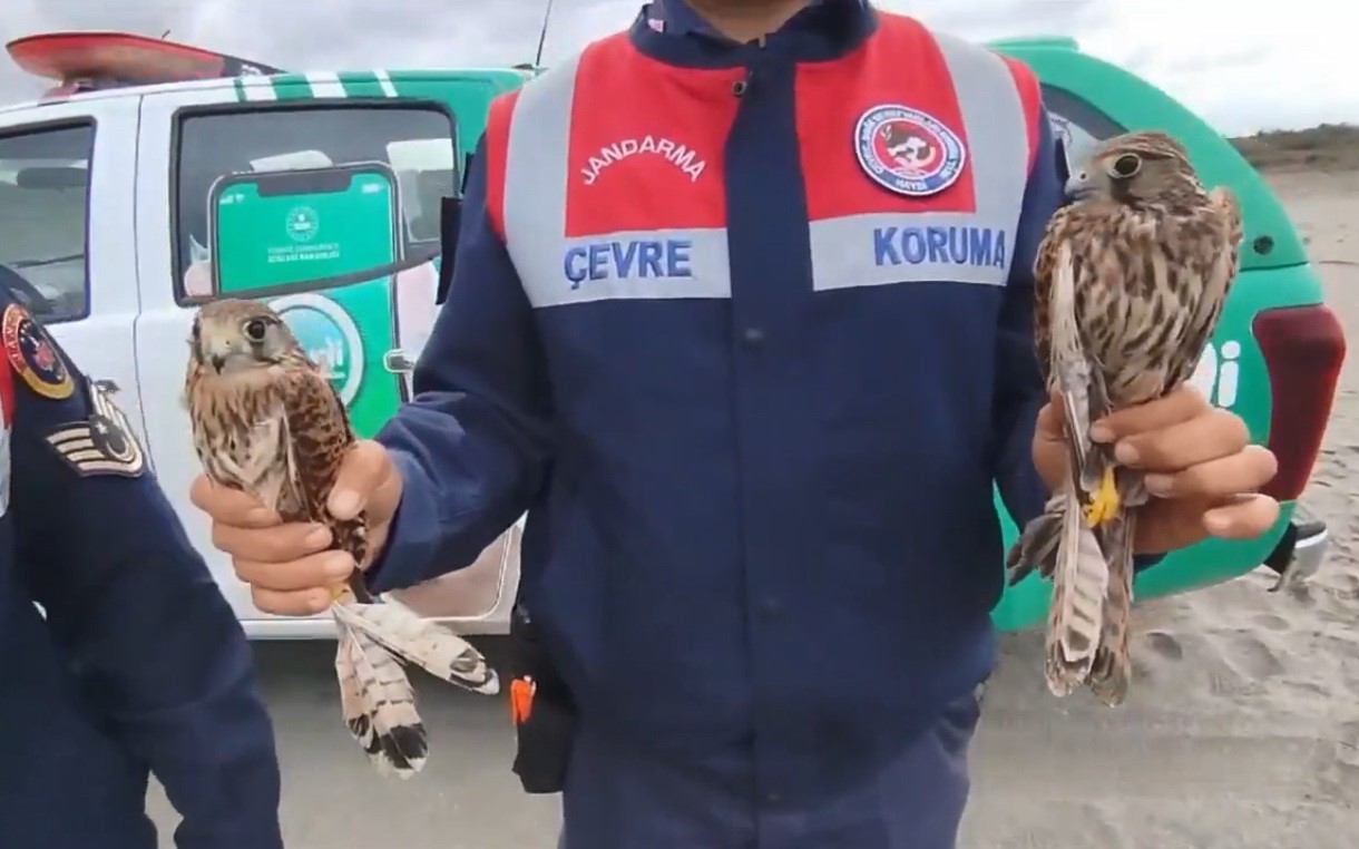 Kuş Cenneti’nde usulsüz yakalanan kuşlar doğaya salındı
