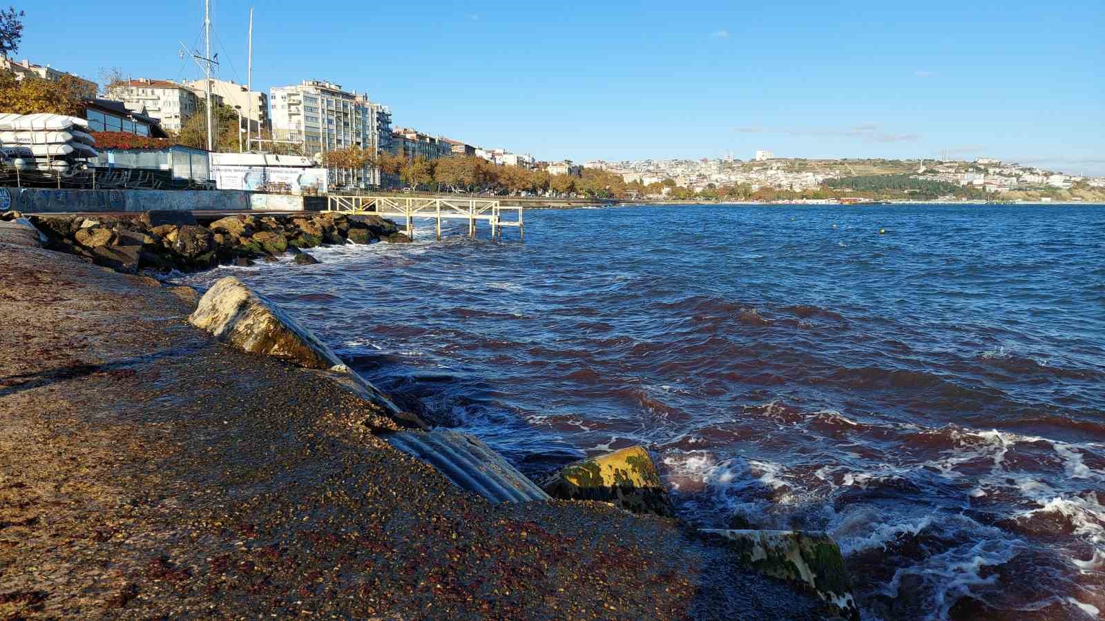 Tekirdağ’da poyraz fırtınası etkili oluyor: Kızıl yosunlar gelmeye devam ediyor
