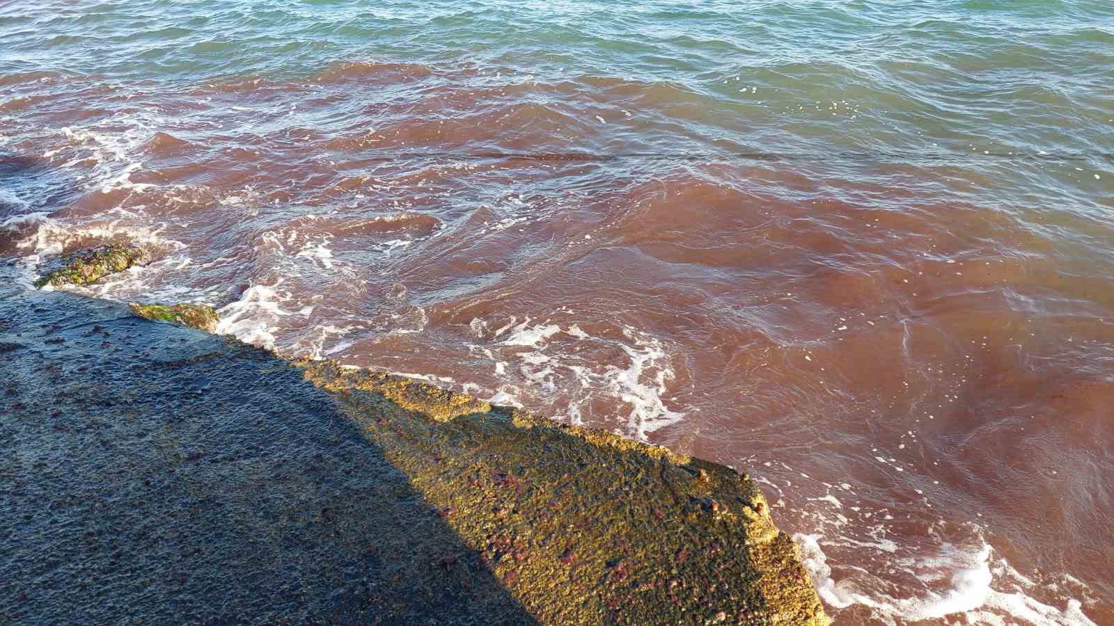 Tekirdağ’da poyraz fırtınası etkili oluyor: Kızıl yosunlar gelmeye devam ediyor
