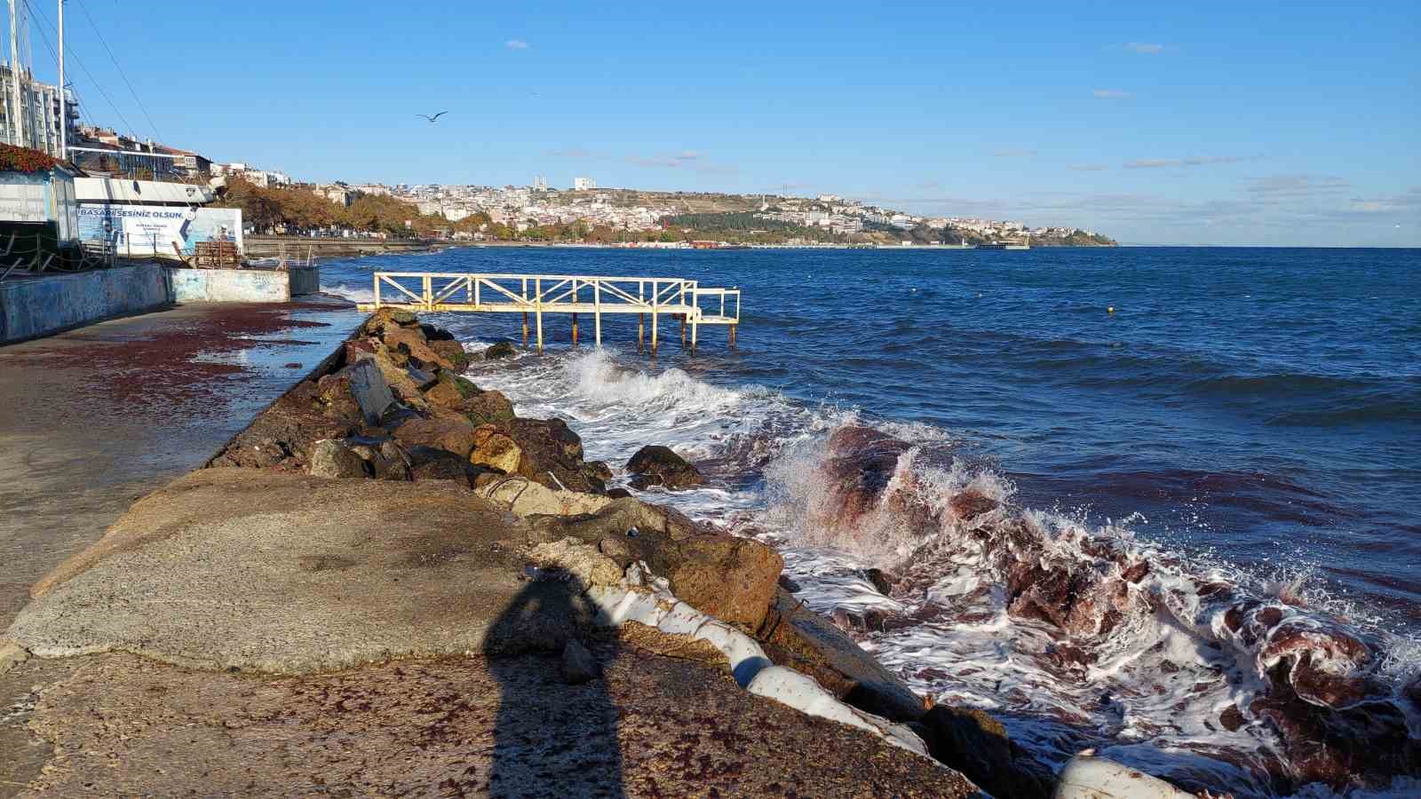 Tekirdağ’da poyraz fırtınası etkili oluyor: Kızıl yosunlar gelmeye devam ediyor
