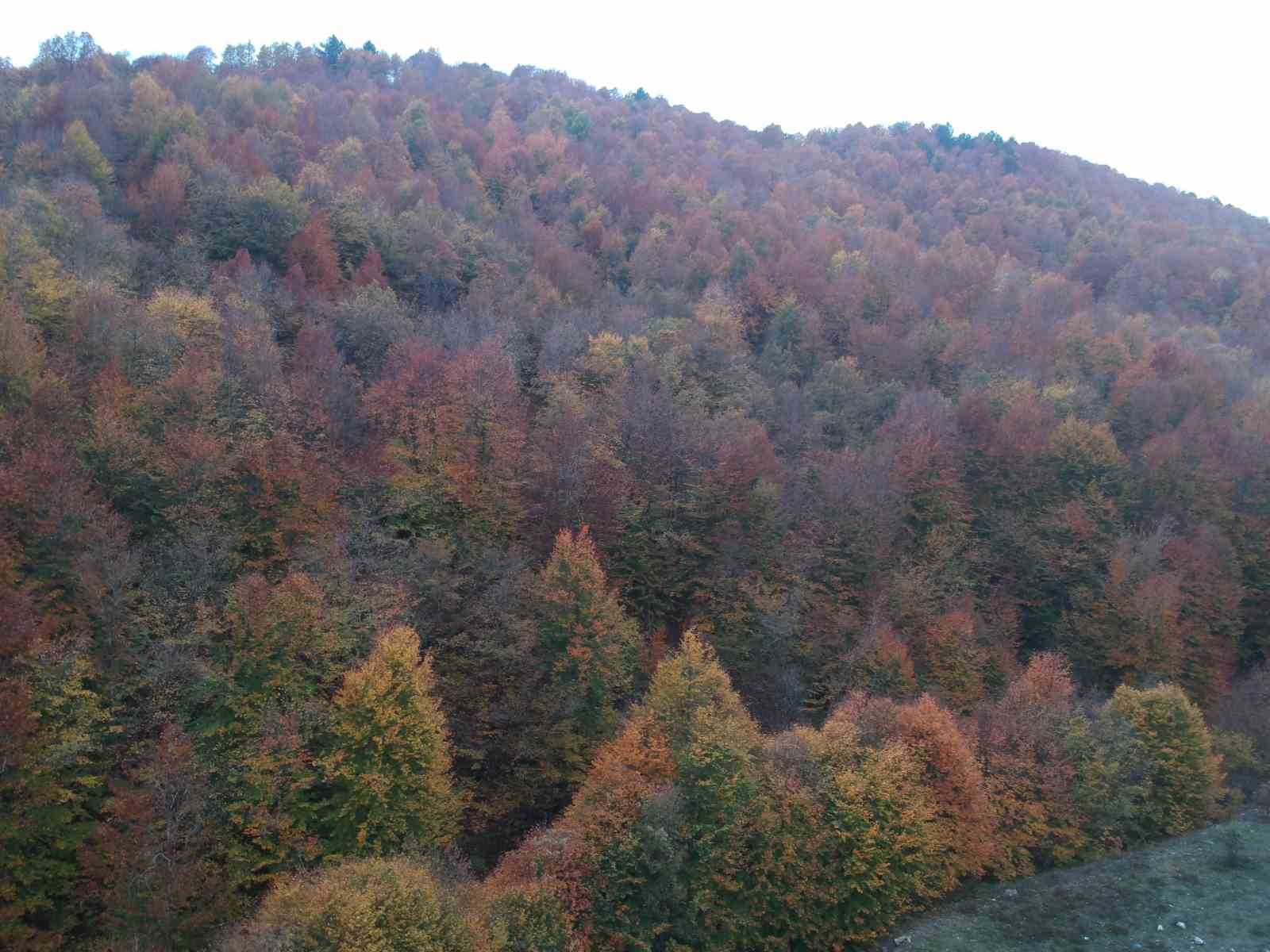 Sinop’ta doğanın renk cümbüşü mest etti
