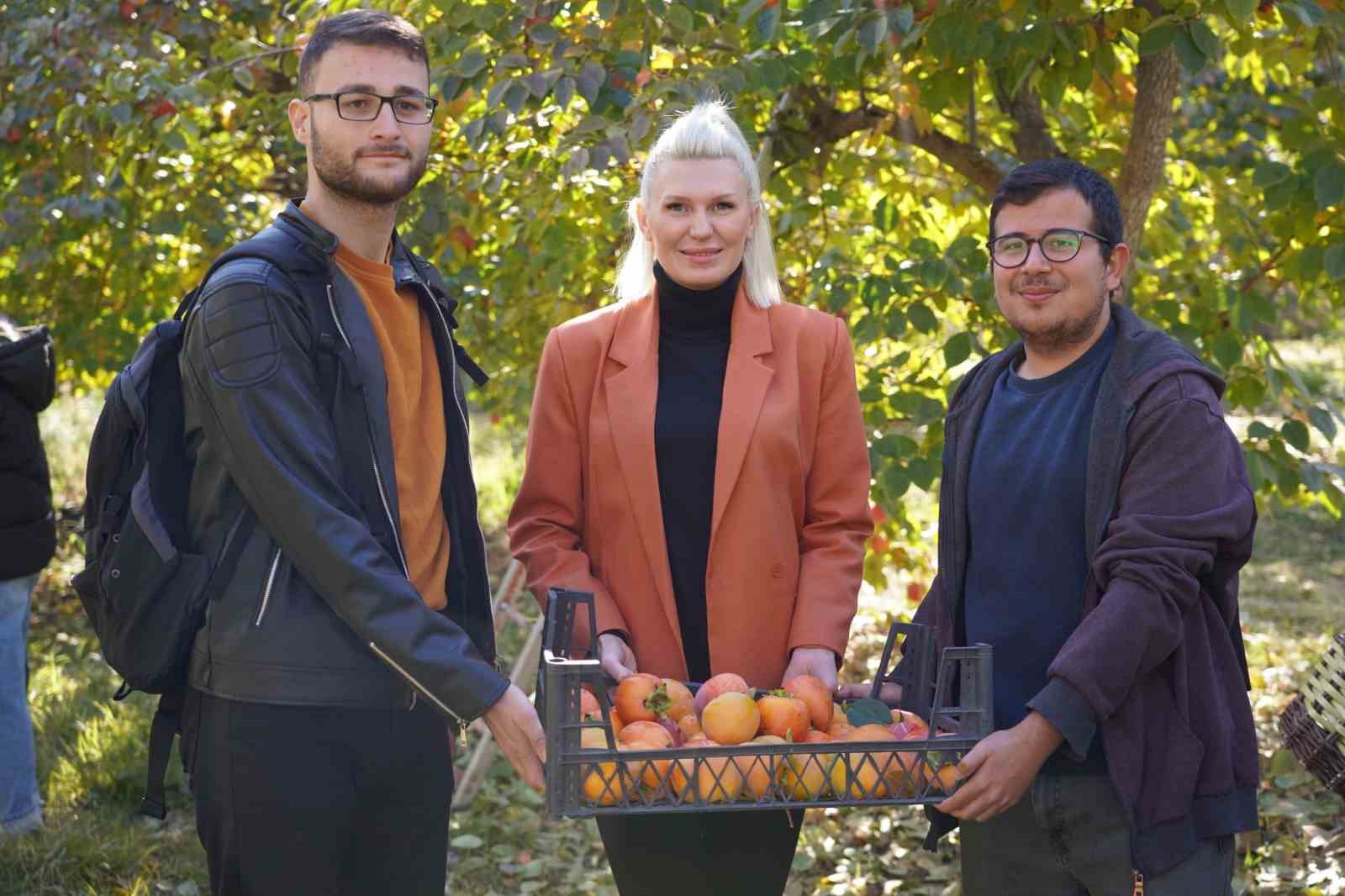 Bilecik’te 6 yıl önce deneme amaçlı dikilen hurma fideleri ilk meyvelerini verdi
