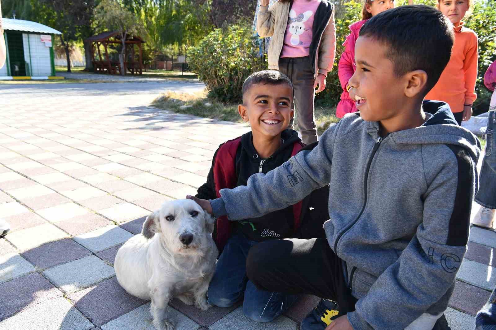 Patili dostlar ile tanışıp ata binmenin keyfini yaşadılar
