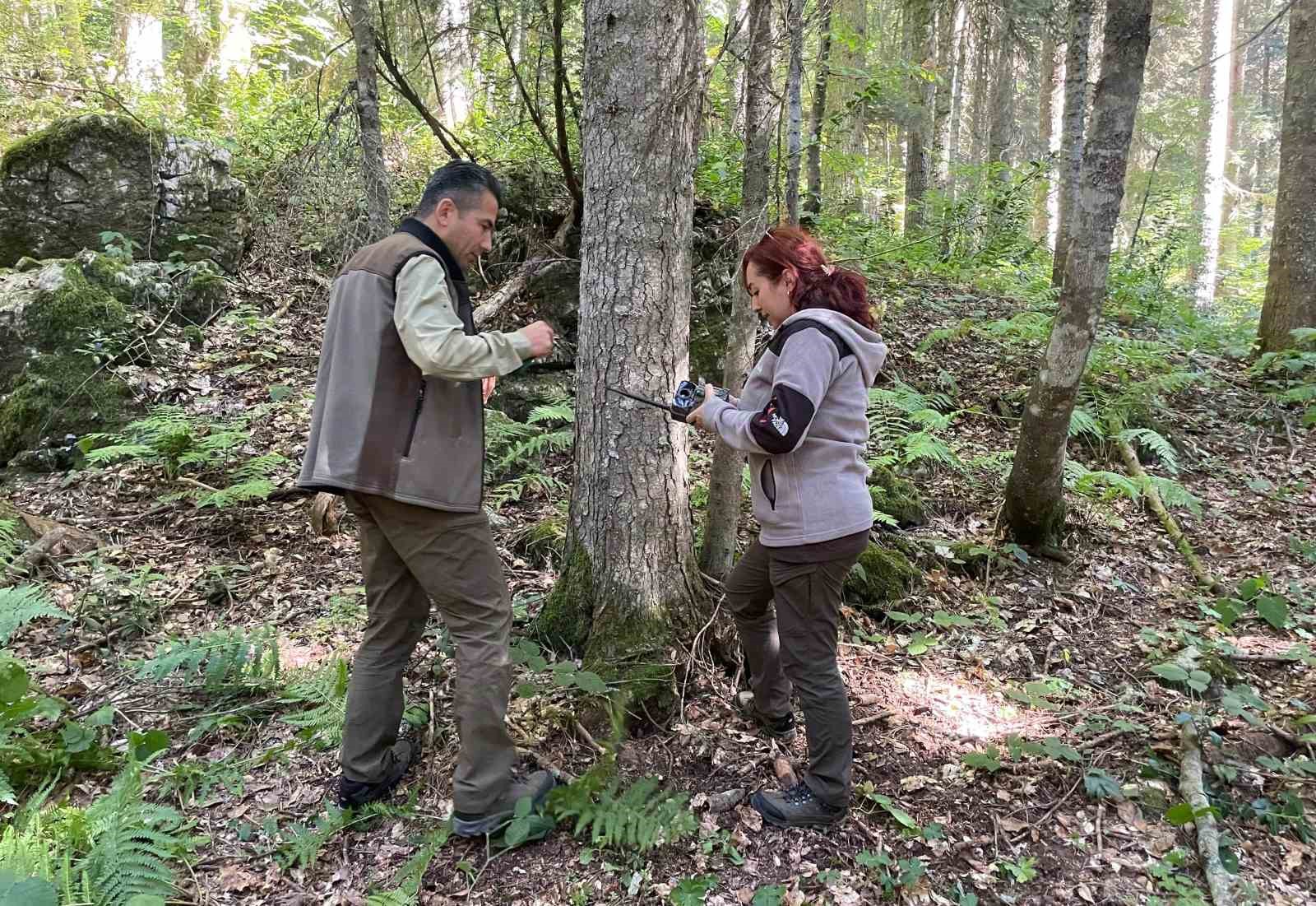 Boz ayı aynada kendini görüp şok yaşadı
