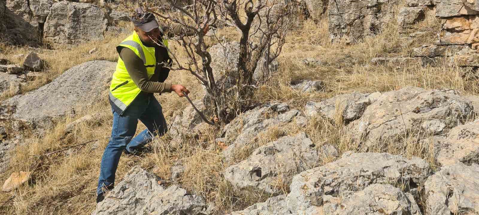 Uçurumda mahsur kalan keçiyi ERKUT ekipleri kurtardı
