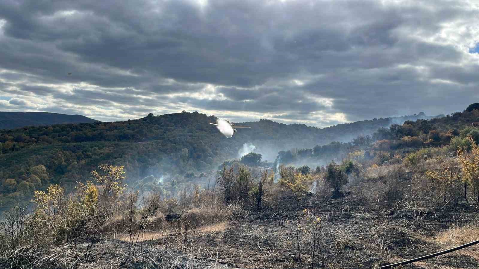 Çanakkale’deki yangında 2 hektarlık alan zarar gördü
