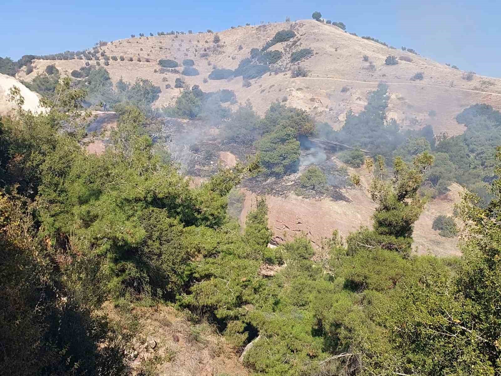 Alaşehir’de makilik alanda çıkan yangın büyümeden söndürüldü
