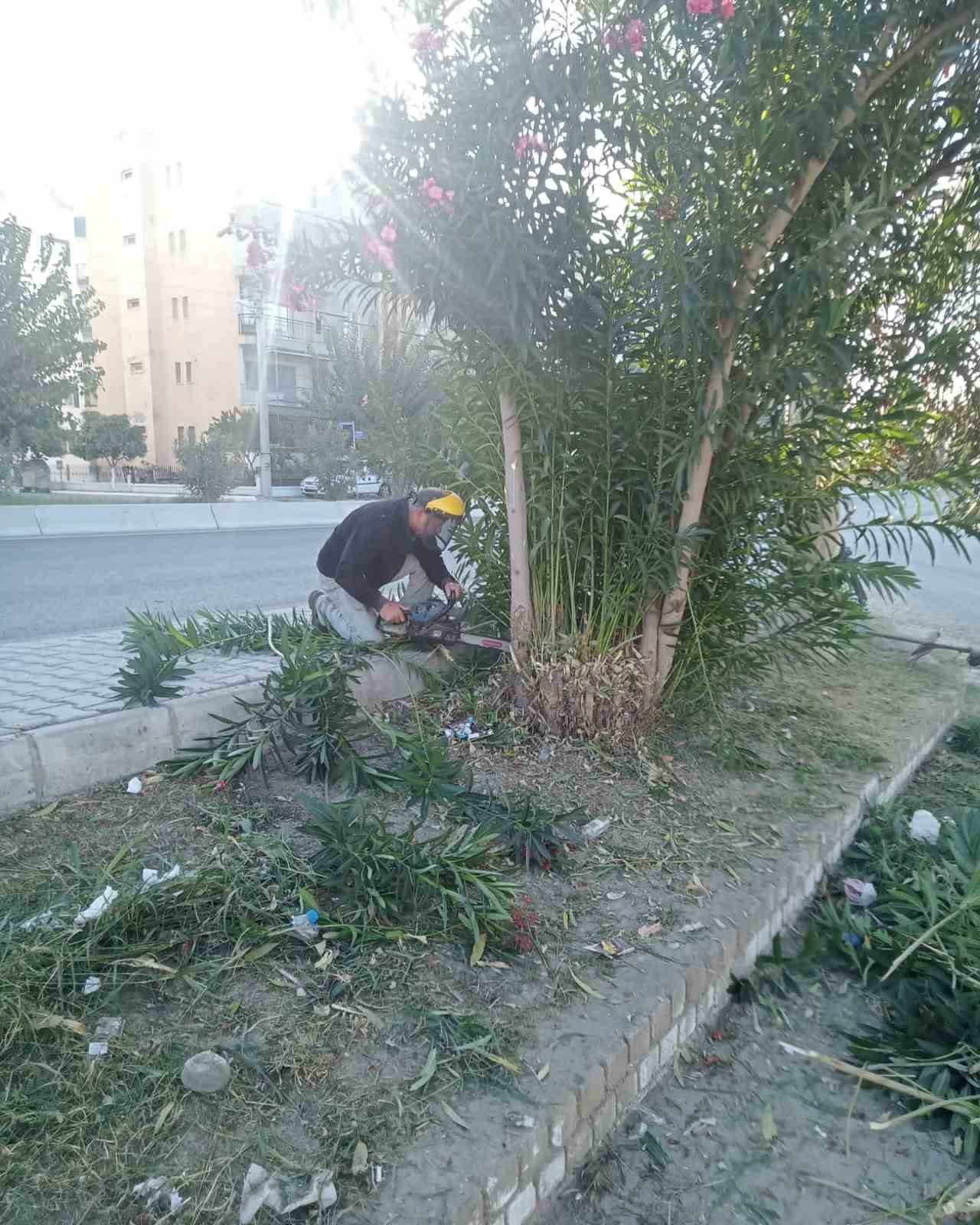 Germencik’te ’sonbahar’ temizliği
