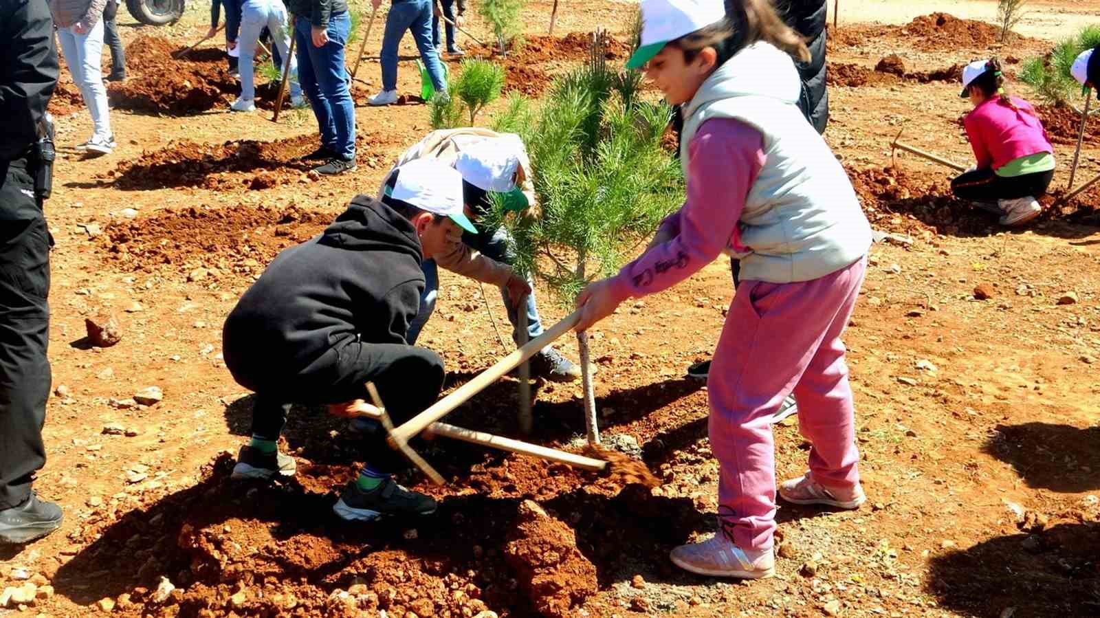 Muğla’nın 11 ilçesinde, 11 Kasım’da, saat 11.11’de binlerce fidan toprakla buluşacak
