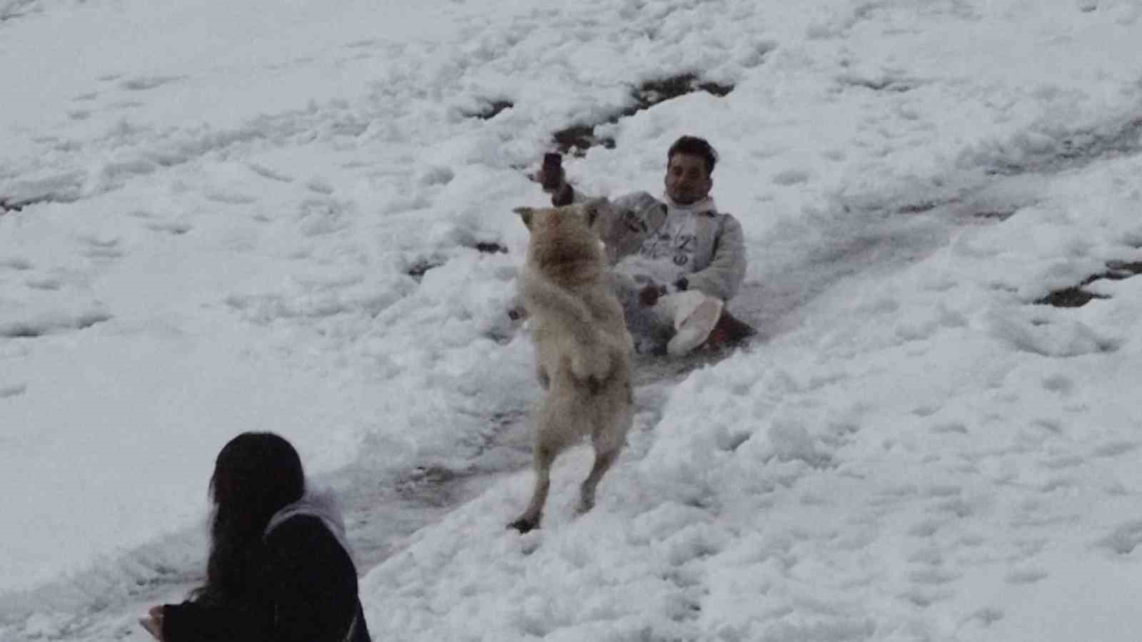 Ayder’de karda kayanlarla oynayan köpek renkli görüntüler oluşturdu
