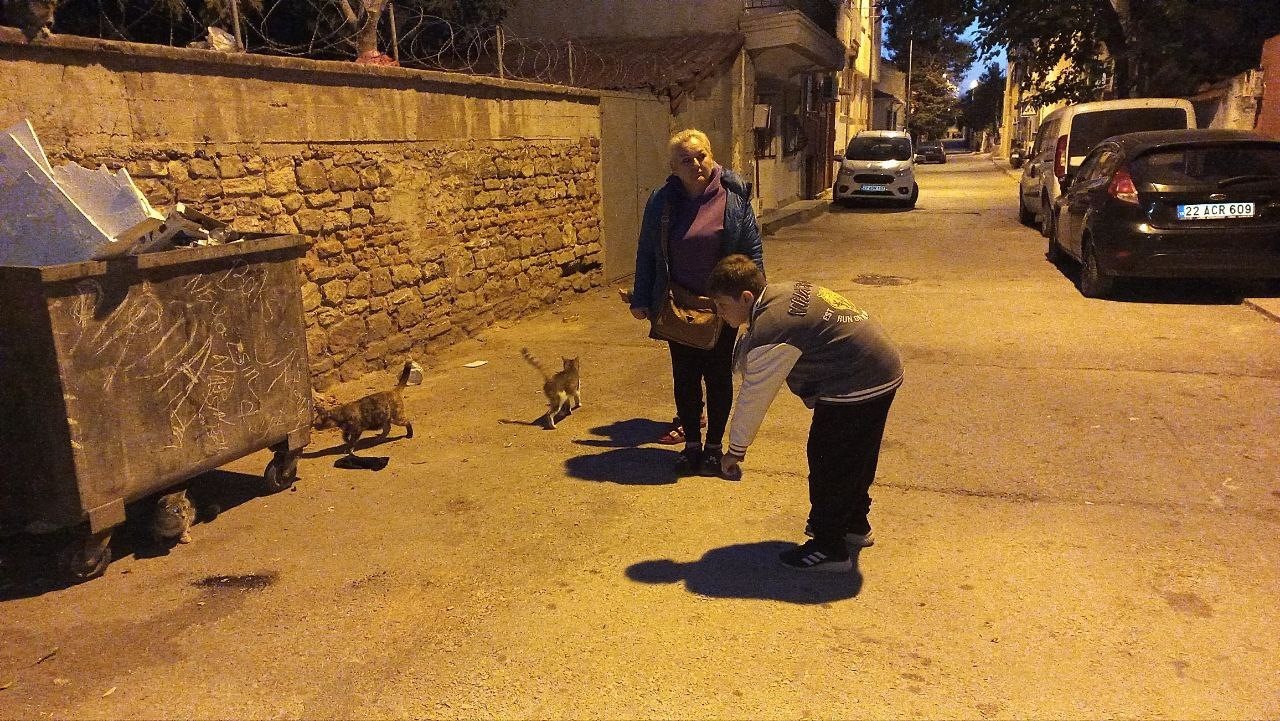 Dünyanın düzeni değişti: Kediyle fare yan yana yemek yiyor
