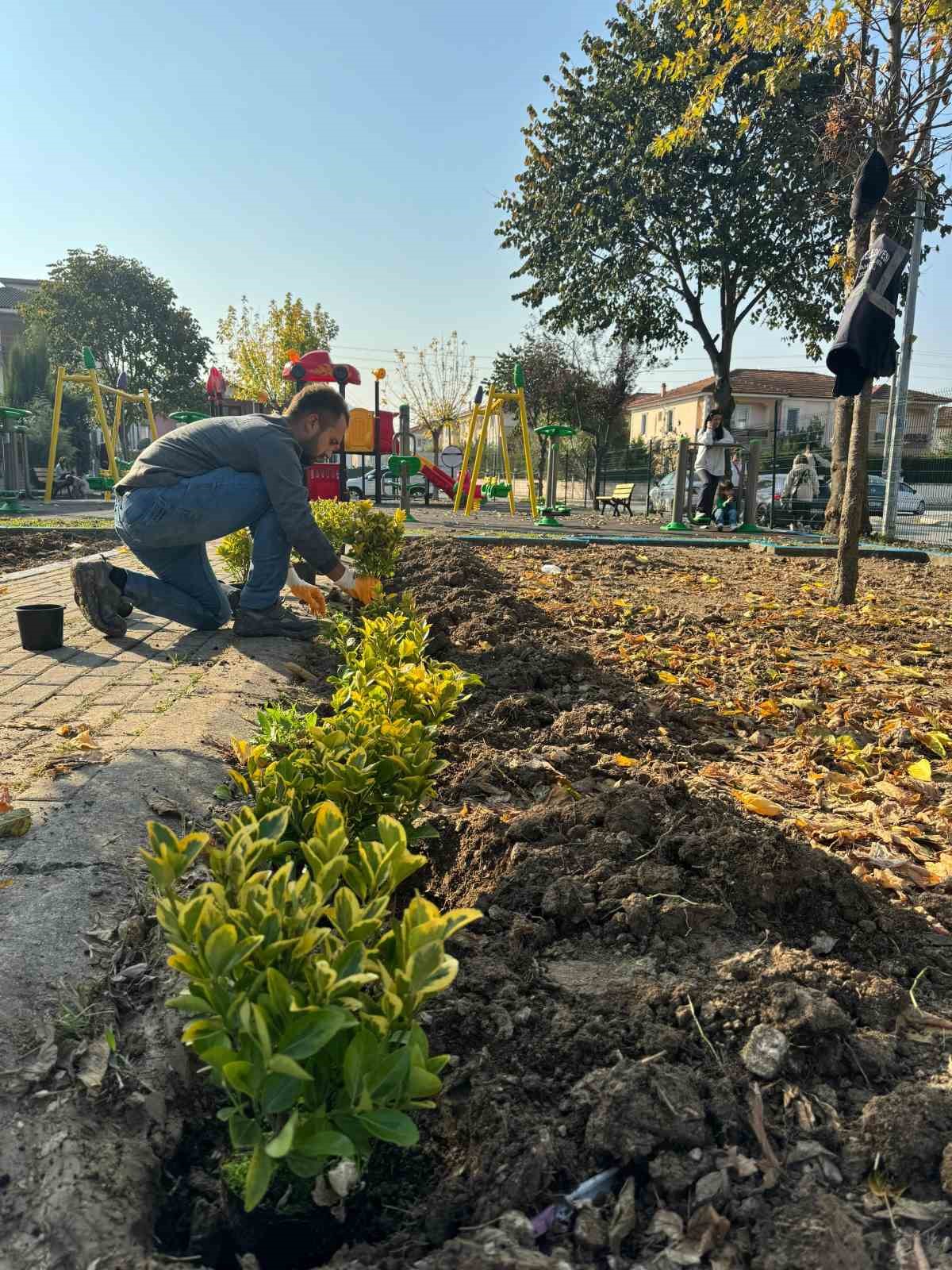 Serdivan’ın yeşil alanları güzelleşiyor
