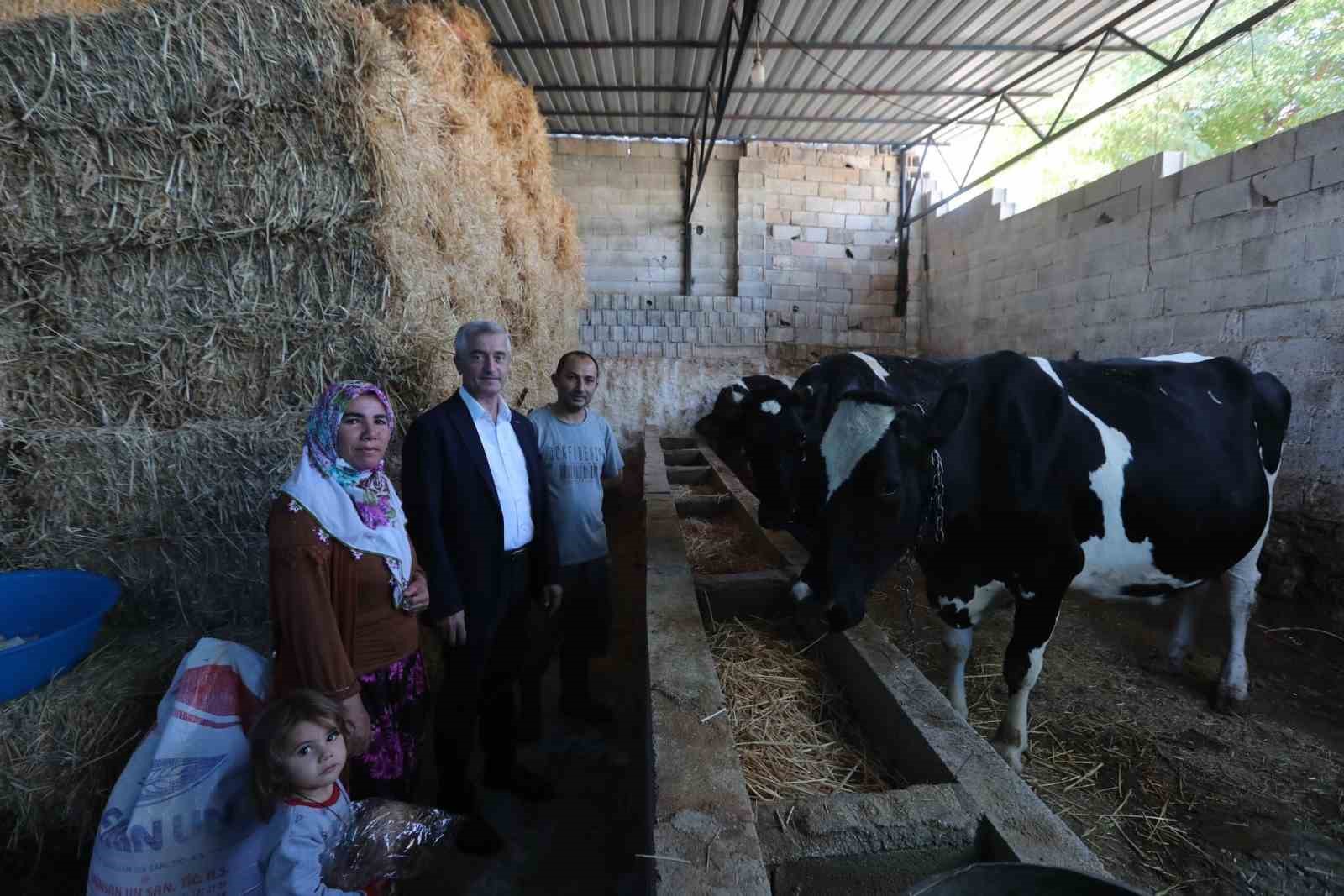 Şahinbey Belediyesi’nin destekleri ile hayvan yetiştiriciliği arttı
