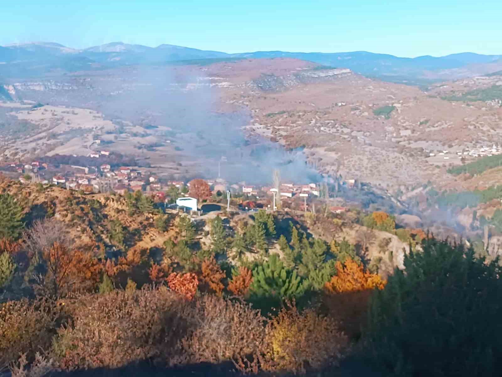 Tavşanlı’nın Kızılçukur köyünde korkutan yangın
