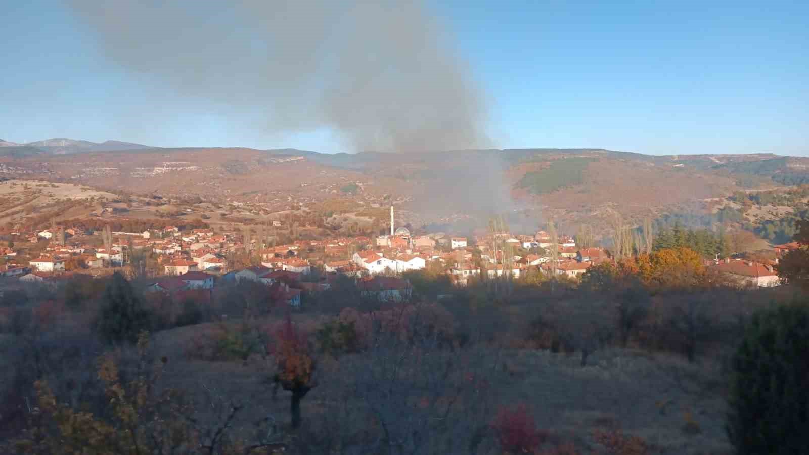 Tavşanlı’nın Kızılçukur köyünde korkutan yangın
