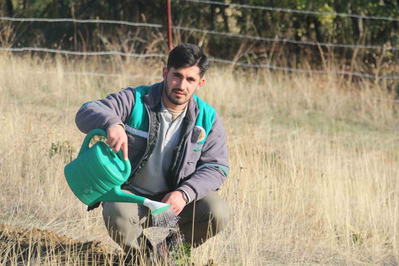 Erzincan’da ilk defa trüf mantarı ormanı oluşturuldu
