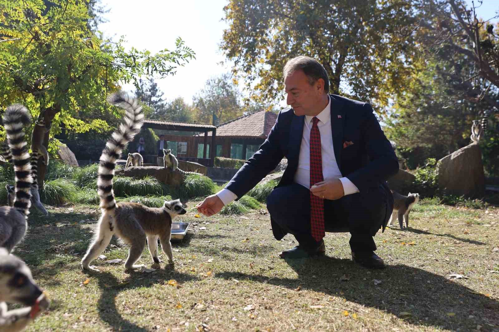 Bursa Hayvanat Bahçesi 26 yaşında
