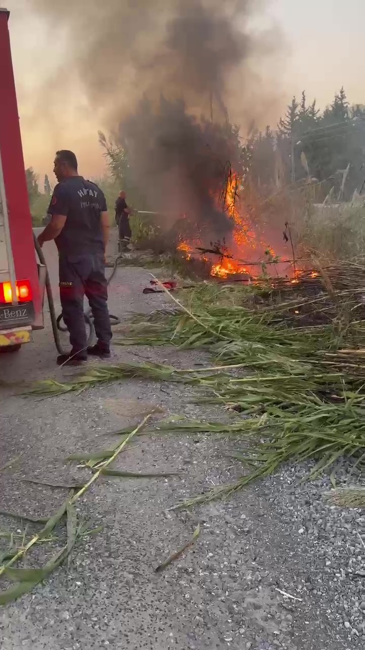 Arsuz’da dere yatağındaki otlar yandı
