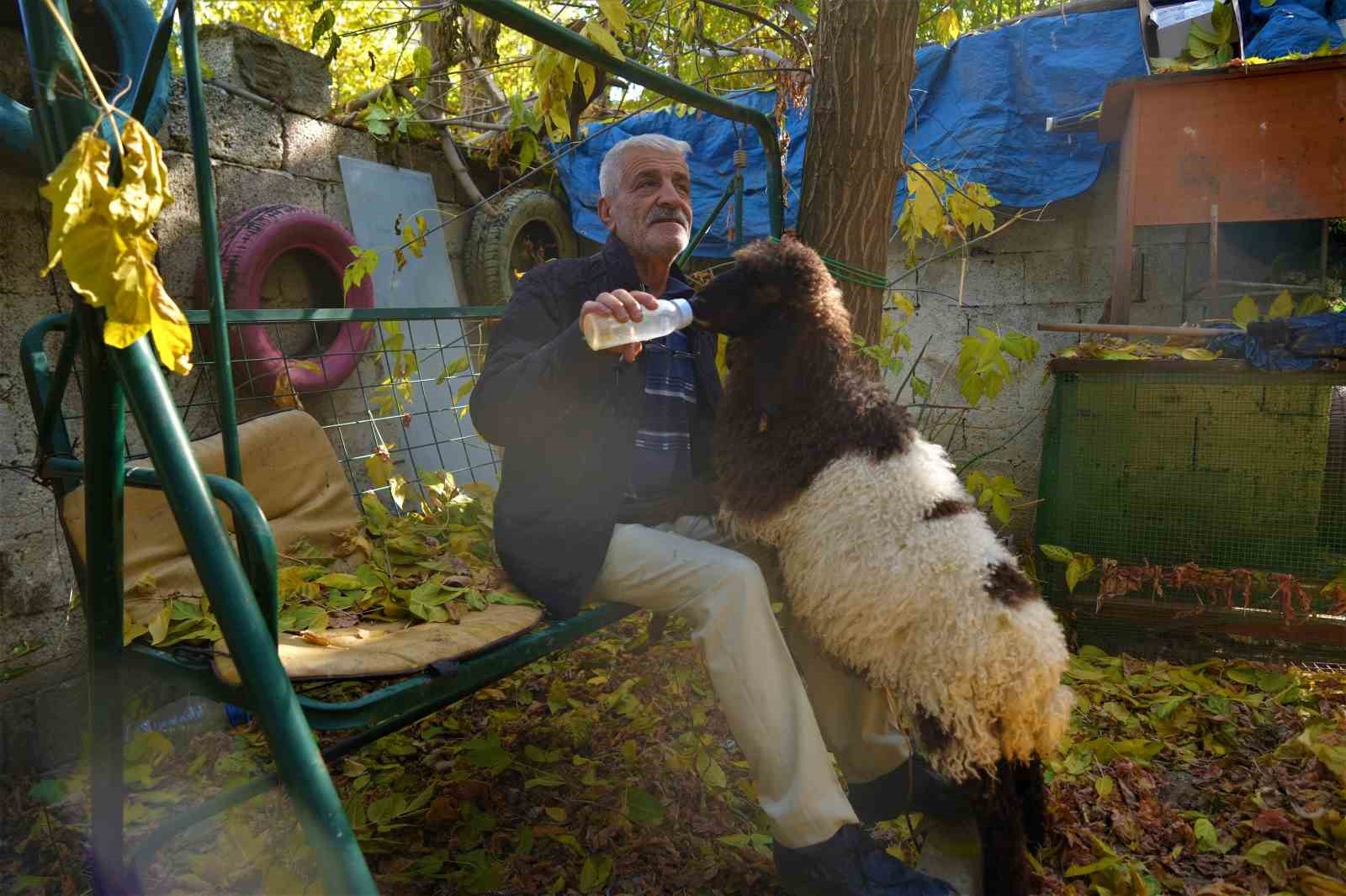 Muş’ta sıcak bir dostluk: Maşallah Aslan ve ‘Fulya’nın hikayesi yürekleri ısıttı
