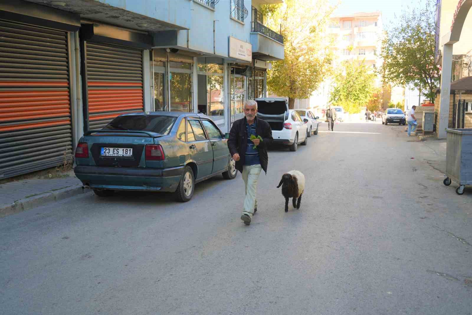 Muş’ta sıcak bir dostluk: Maşallah Aslan ve ‘Fulya’nın hikayesi yürekleri ısıttı
