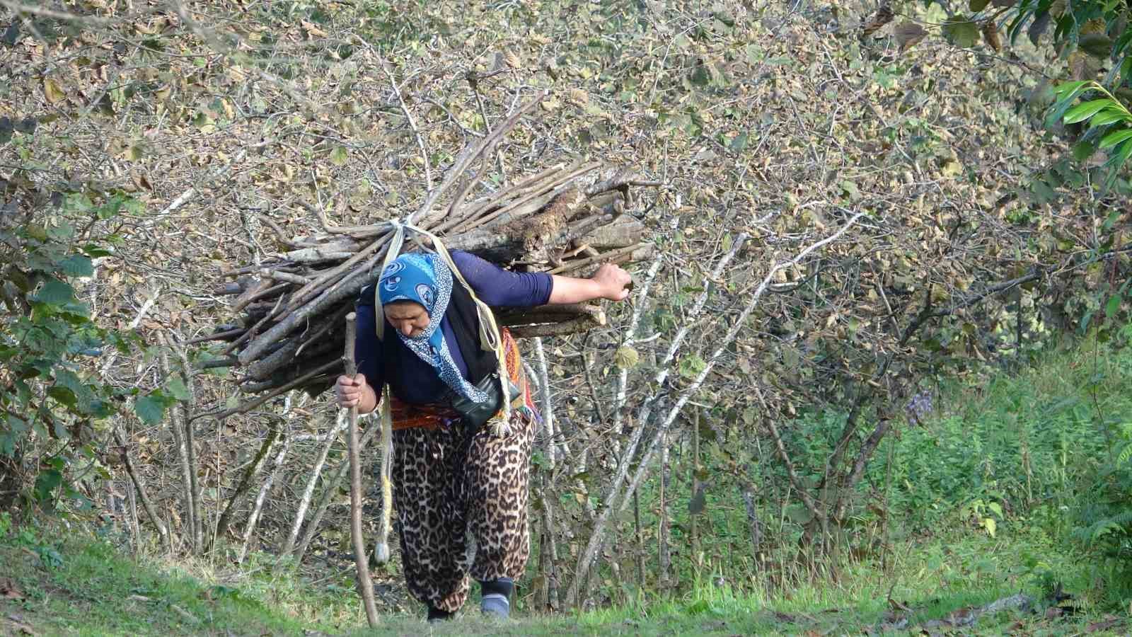 Giresun’un köylerinde katırcılık sona eriyor
