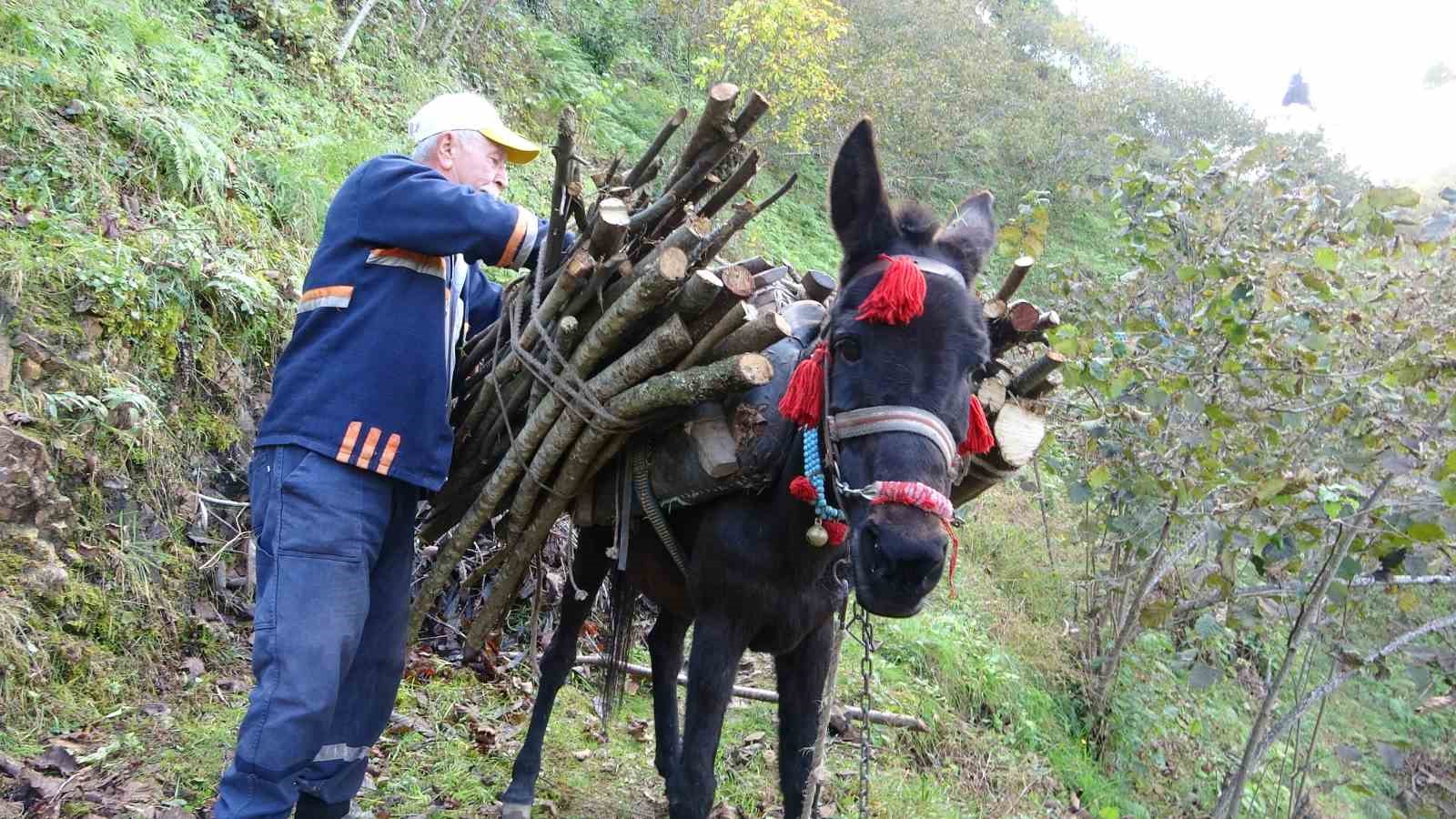 Giresun’un köylerinde katırcılık sona eriyor
