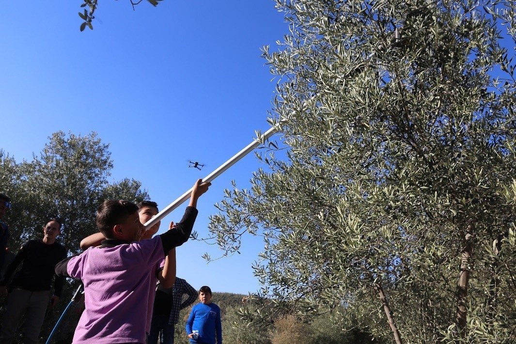 Kavaklıdere’de zeytin hasat sezonu Hillerima Antik Kenti’nde dualarla başladı
