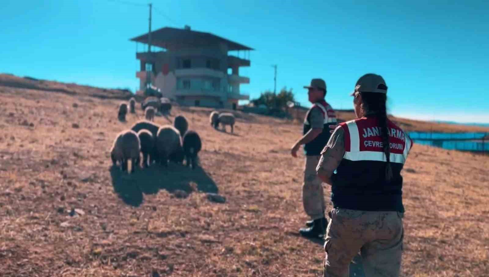 Jandarma doğayı koruma faaliyetlerini sürdürüyor
