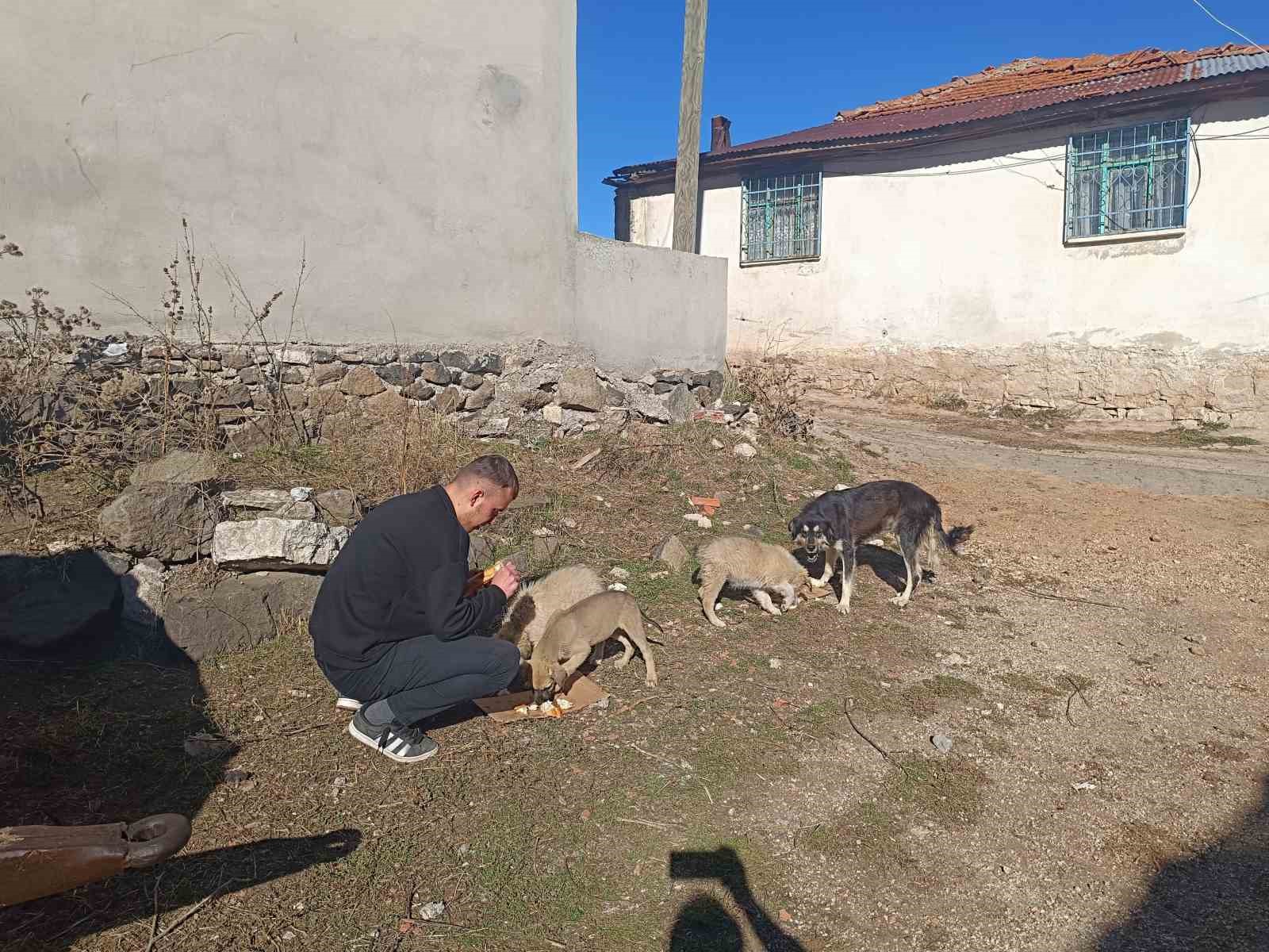 Gazeteciden yavru köpeğe hayat kurtaran heimlich müdahalesi
