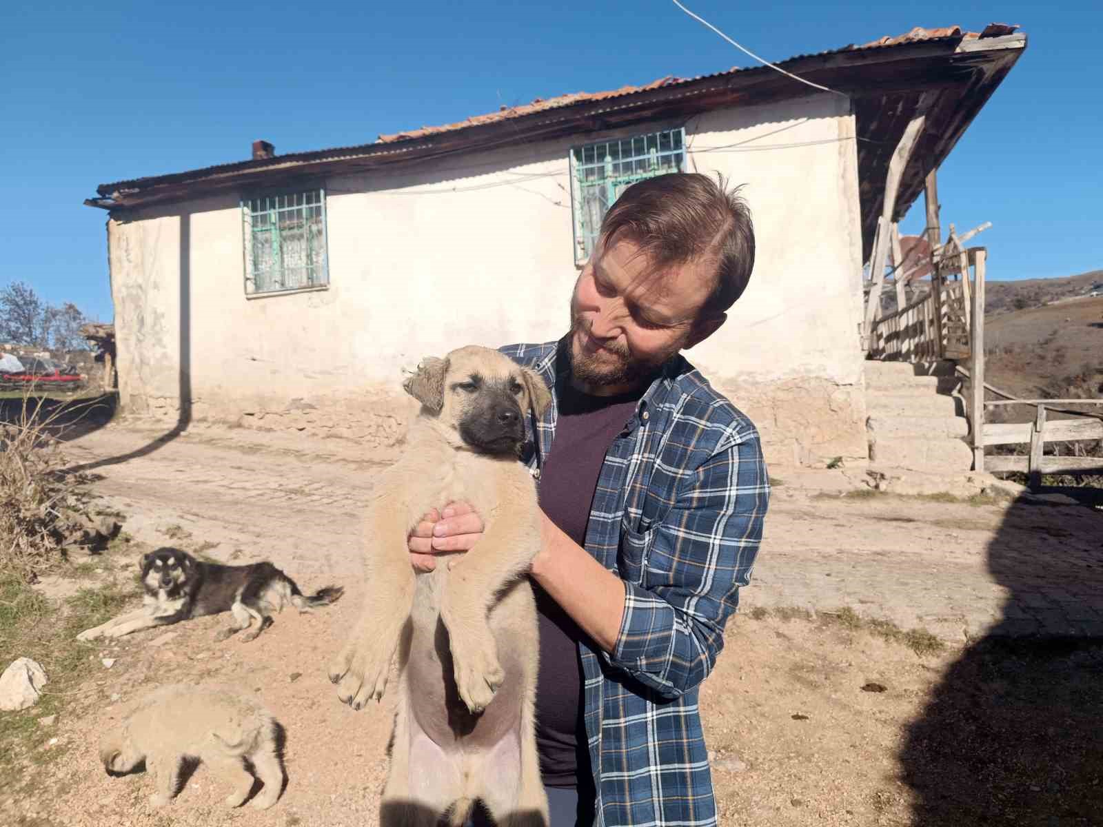 Gazeteciden yavru köpeğe hayat kurtaran heimlich müdahalesi
