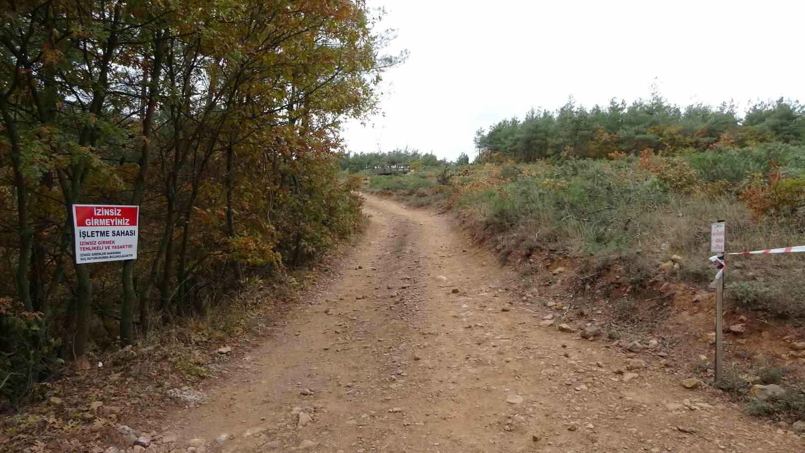 Kaz Dağları’ndaki ağaç kesimine çevrecilerden tepki
