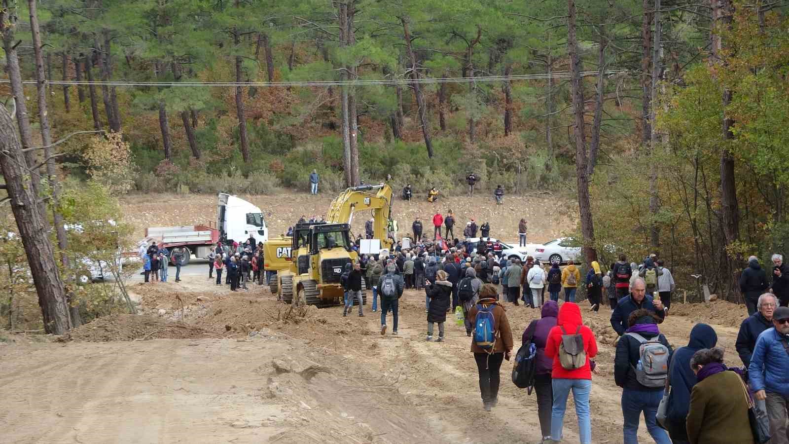 Kaz Dağları’ndaki ağaç kesimine çevrecilerden tepki
