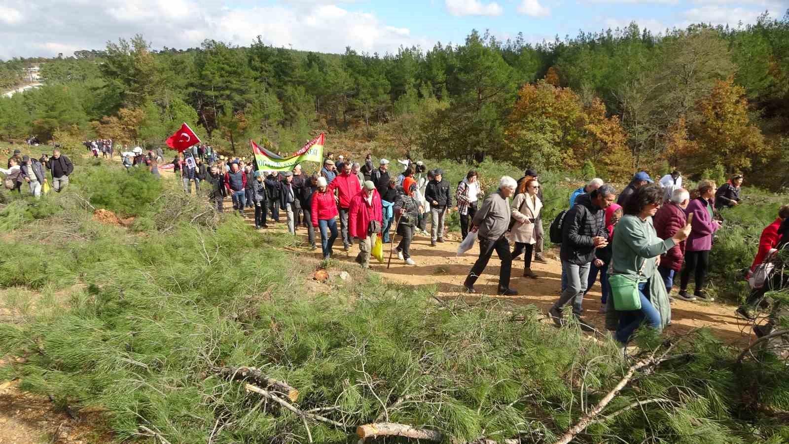 Kaz Dağları’ndaki ağaç kesimine çevrecilerden tepki
